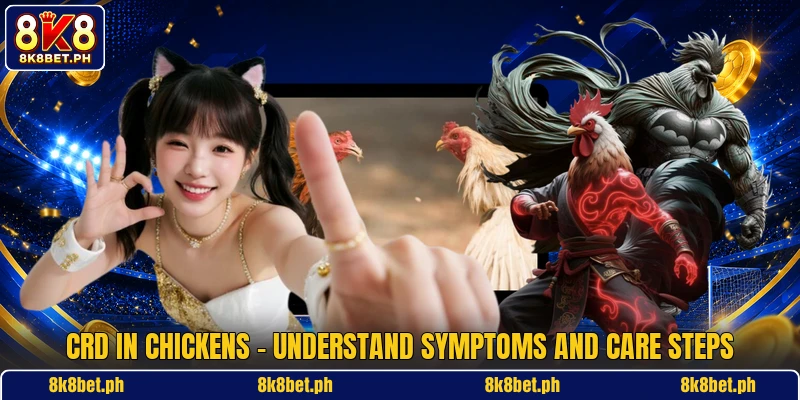 CRD In Chickens - Understand Symptoms And Care Steps