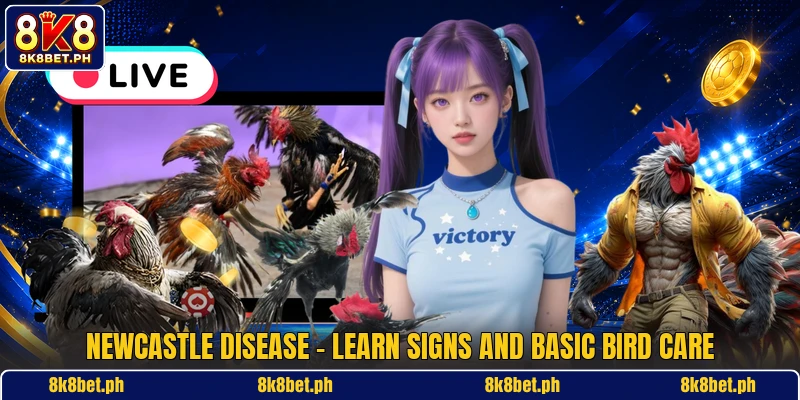 Newcastle Disease - Learn Signs And Basic Bird Care